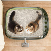 Halboffene Katzentoilette, zweite Ausführung, von ENLIY, Ansicht 2