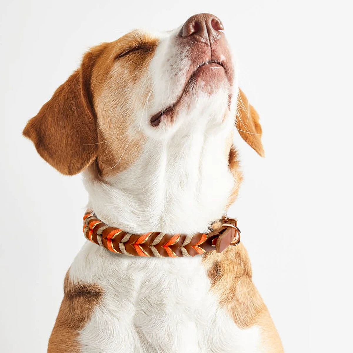 Hundehalsband mit passender Leine im Set von ENLIY